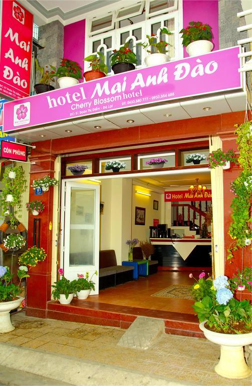 Mai Anh Dao Hotel Da Lat Dış mekan fotoğraf