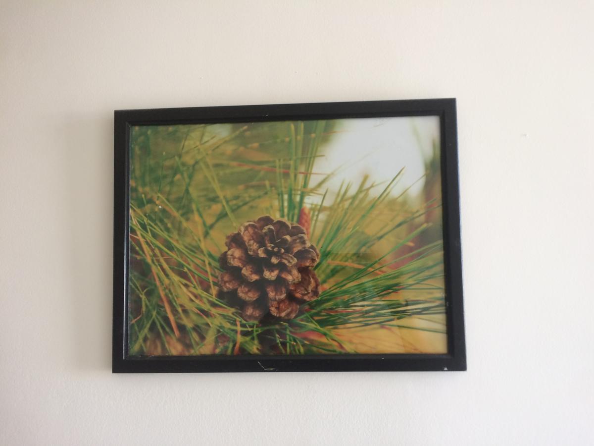 Mai Anh Dao Hotel Da Lat Dış mekan fotoğraf